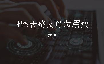 WPS表格文件常用快捷键"