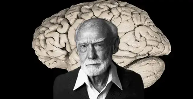 “左脑理性，右脑感性”真的是伪科学吗？
