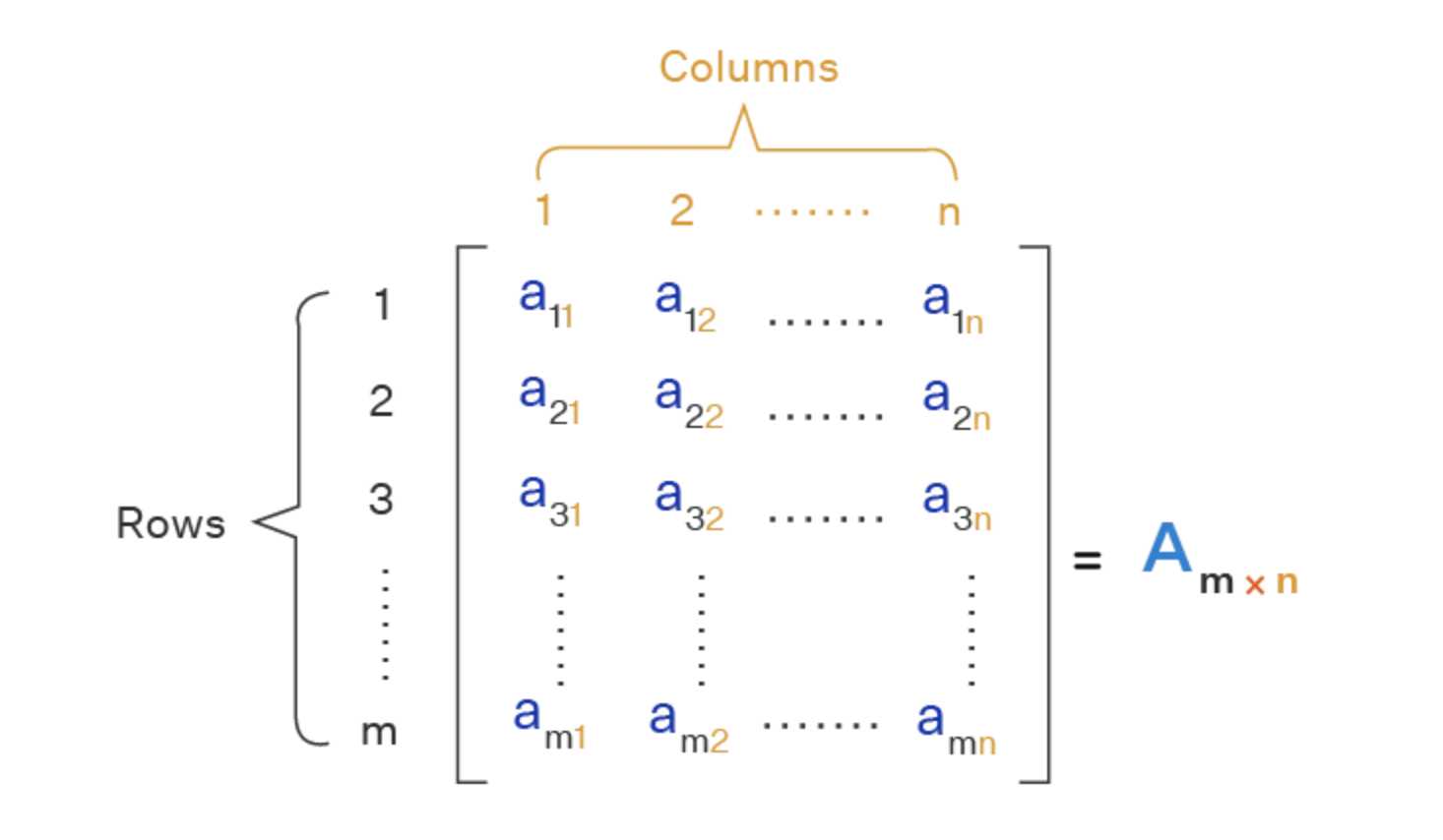 数学工具系列之矩阵初学者指南：定义、属性、运算和类型