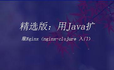 精选版：用Java扩展Nginx（nginx-clojure