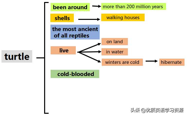 英语原版阅读：Talking about turtles