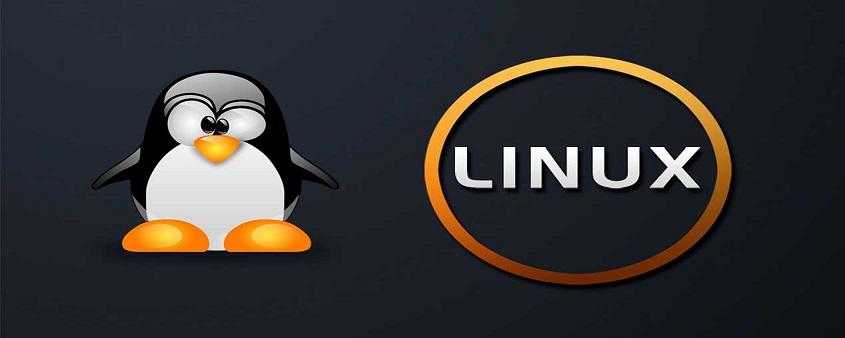 Linux常用命令，Linux常用基本命令大全