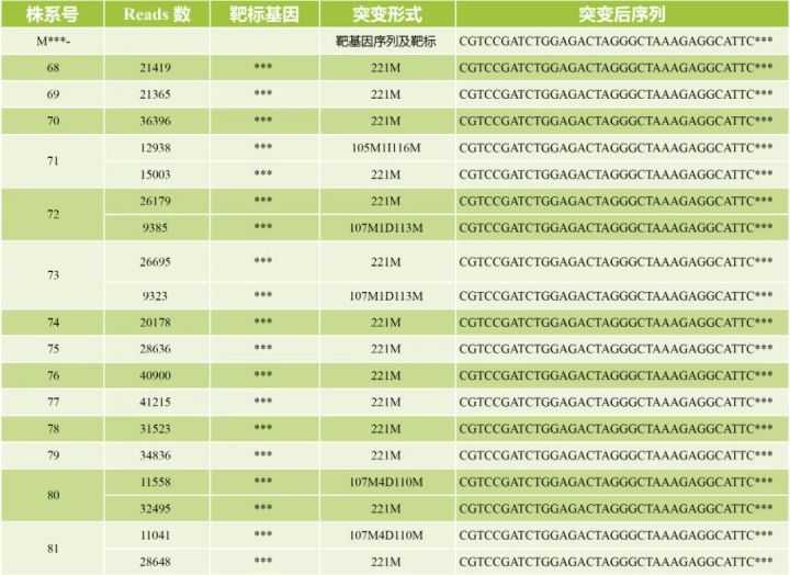 宝藏！转基因株系检测的N种方法