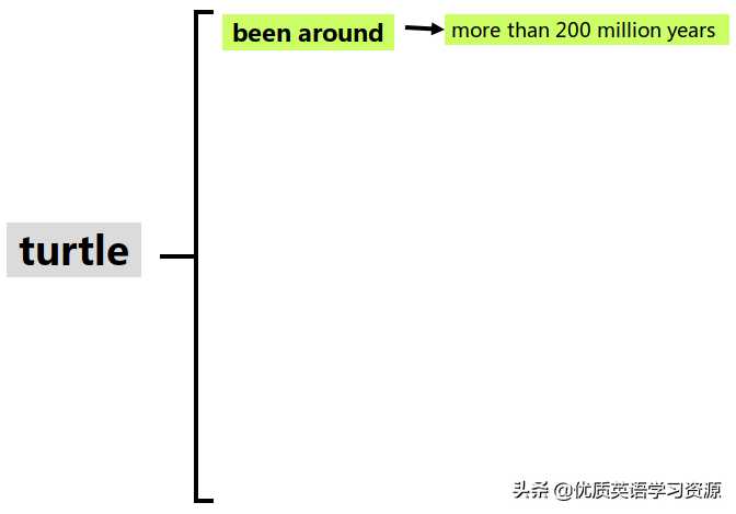 英语原版阅读：Talking about turtles