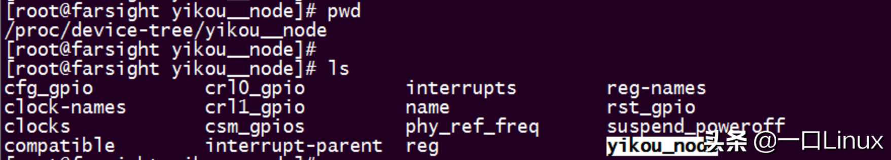 Linux驱动 | 从0写一个设备树节点实例
