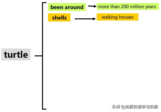 英语原版阅读：Talking about turtles