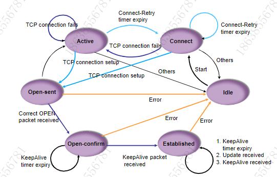 BGP基本原理