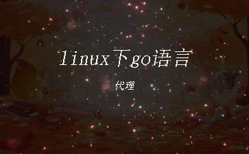 linux下go语言代理"
