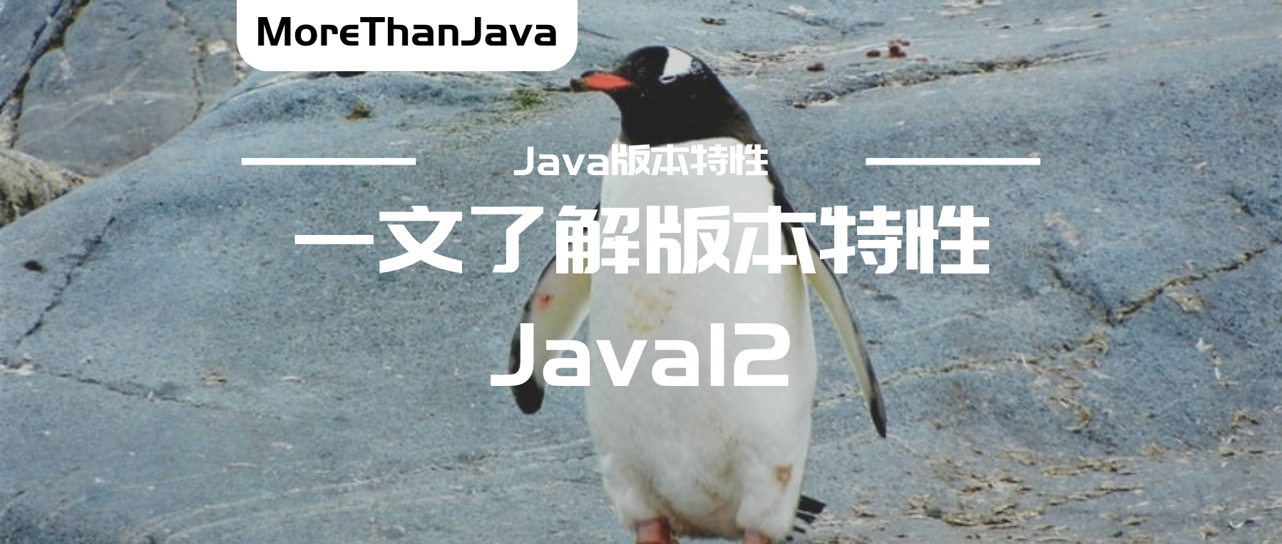 Java12版本特性【一文了解】