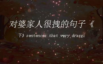 对婆家人很拽的句子《下》sentences