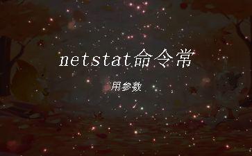 netstat命令常用参数"