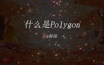 什么是Polygons标注"