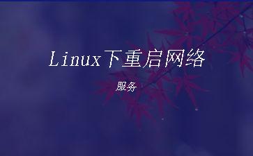 Linux下重启网络服务"