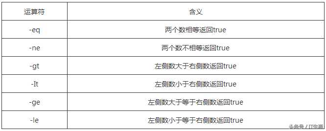 一篇文章学懂Shell脚本