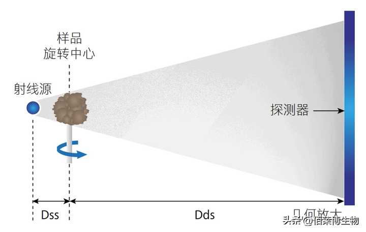 高分辨X射线显微镜（XRM）分析服务