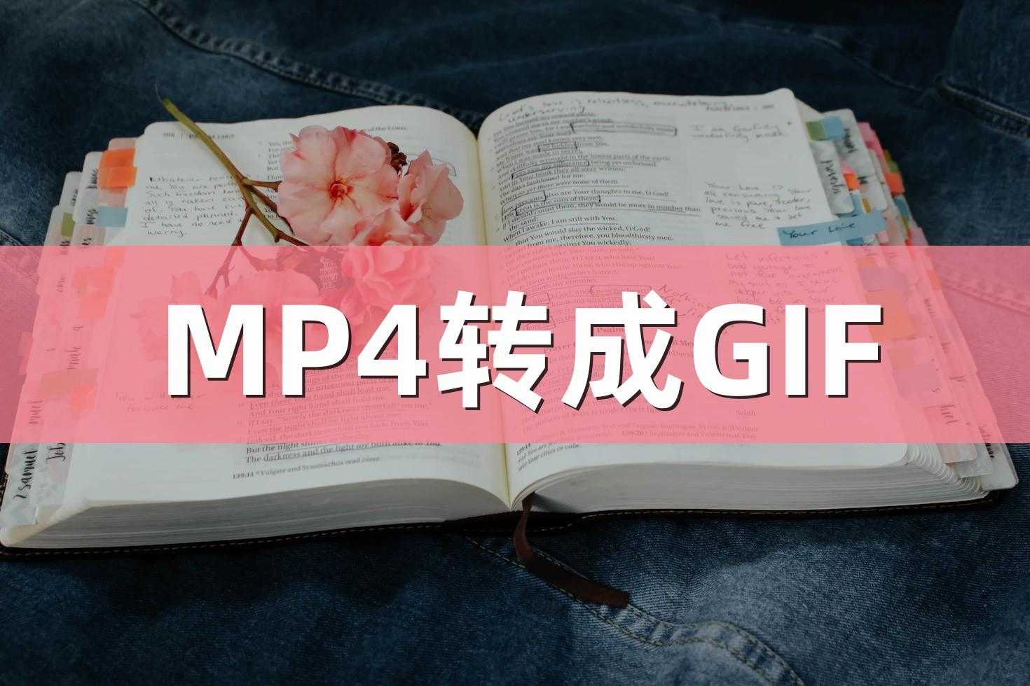 mp4转成gif的方法分享，手机电脑都搞定