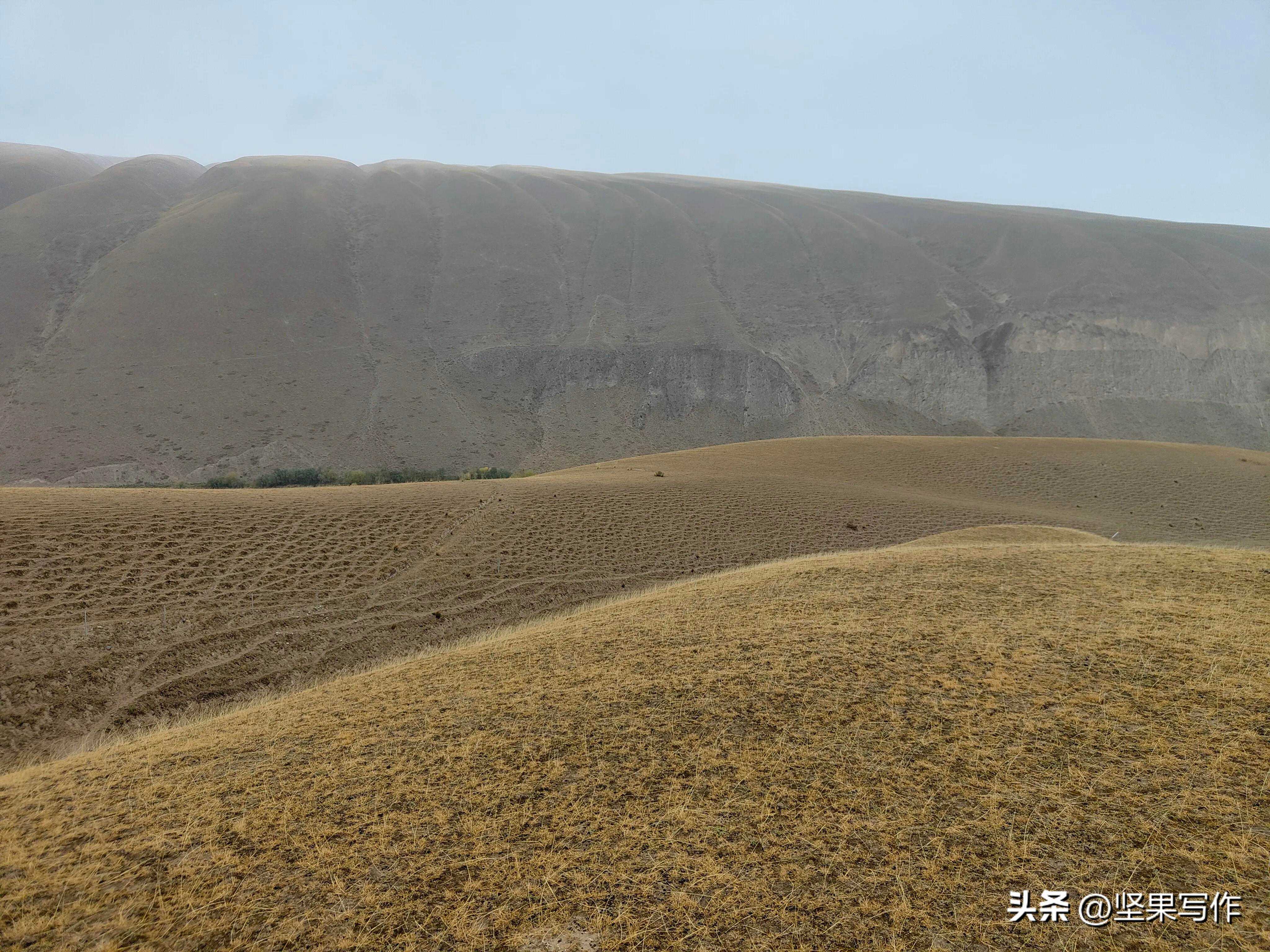 新疆策勒县：下辖2个镇和6个乡，户籍人口总数168903人