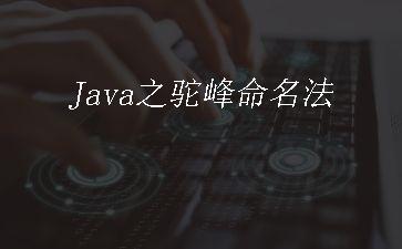 Java之驼峰命名法"