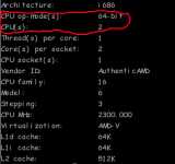 Linux 常用命令: 查看 CPU 信息