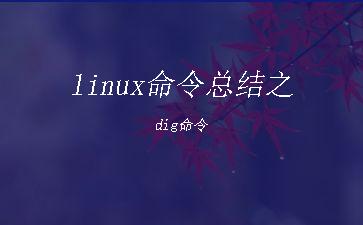 linux命令总结之dig命令"