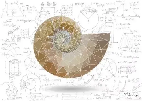 宇宙终极奥秘的神秘数列——斐波那契数列