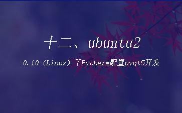 十二、ubuntu20.10（Linux）下Pycharm配置pyqt5开发环境"