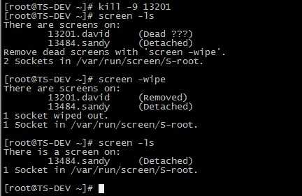 linux screen 命令详解