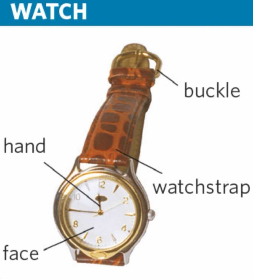 「图解英文」7.28 手表零部件用英语怎么说？