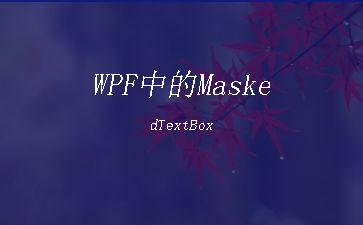 WPF中的MaskedTextBox"