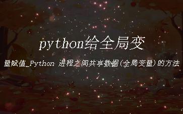python给全局变量赋值_Python