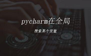 pycharm在全局搜索某个变量"