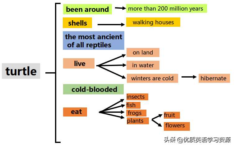 英语原版阅读：Talking about turtles