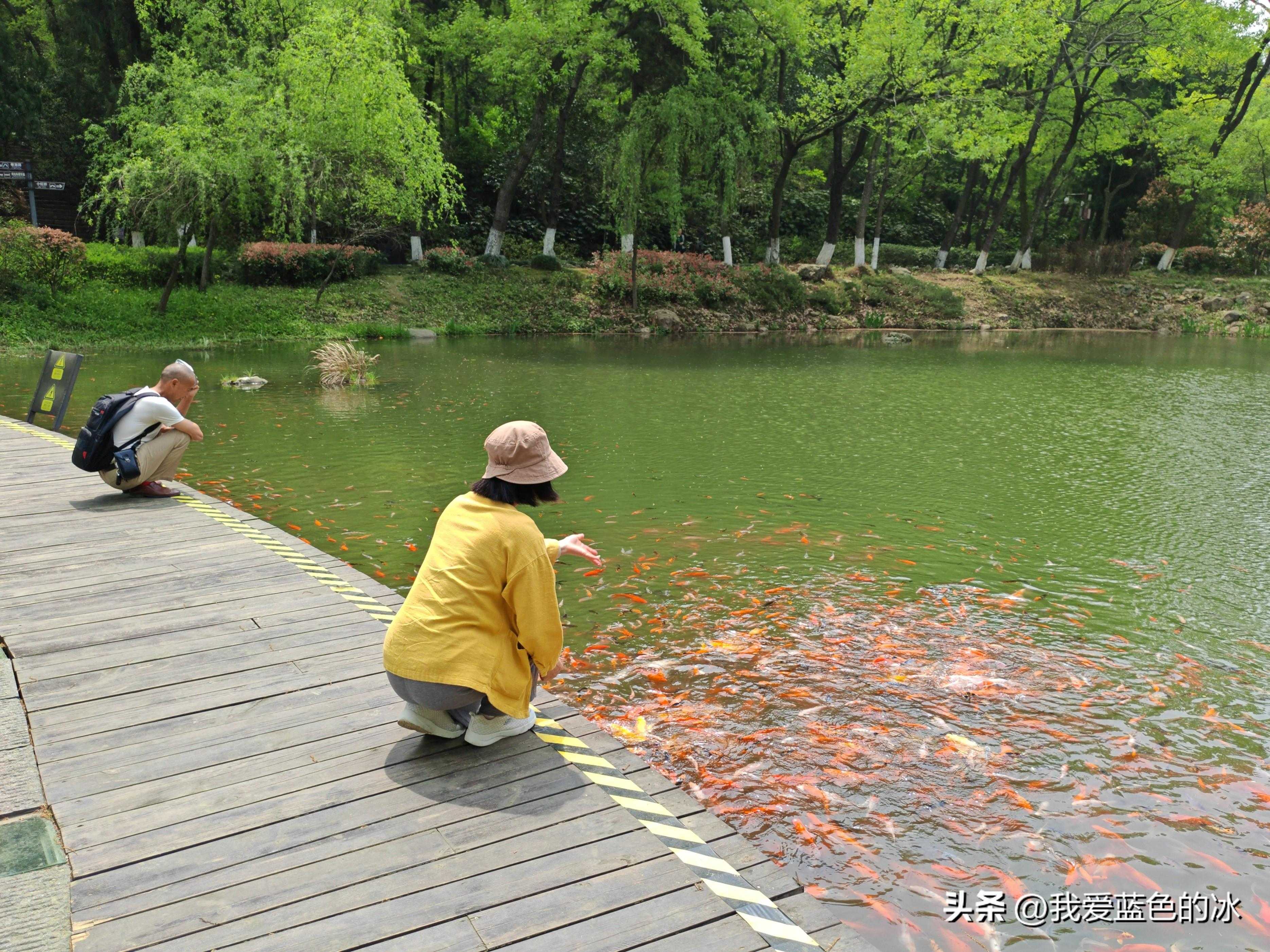 参观古隆中景区，最想弄清的是当年诸葛亮隐居地到底在哪里呢