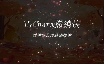 PyCharm撤销快捷键以及注释快捷键"