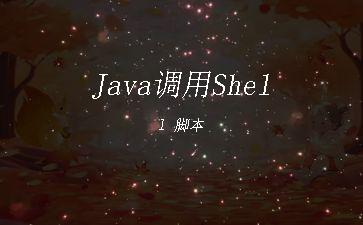 Java调用Shell
