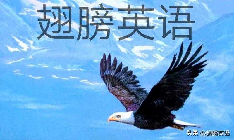 when和while的区别浅析