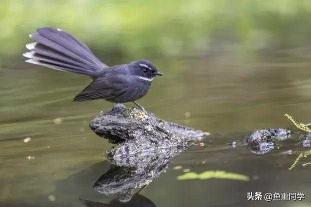 九月九“重阳节”从何而来？“九”这个数字，有哪些神奇之处