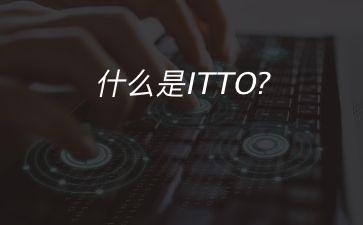 什么是ITTO?"