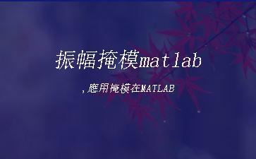 振幅掩模matlab,應用掩模在MATLAB"