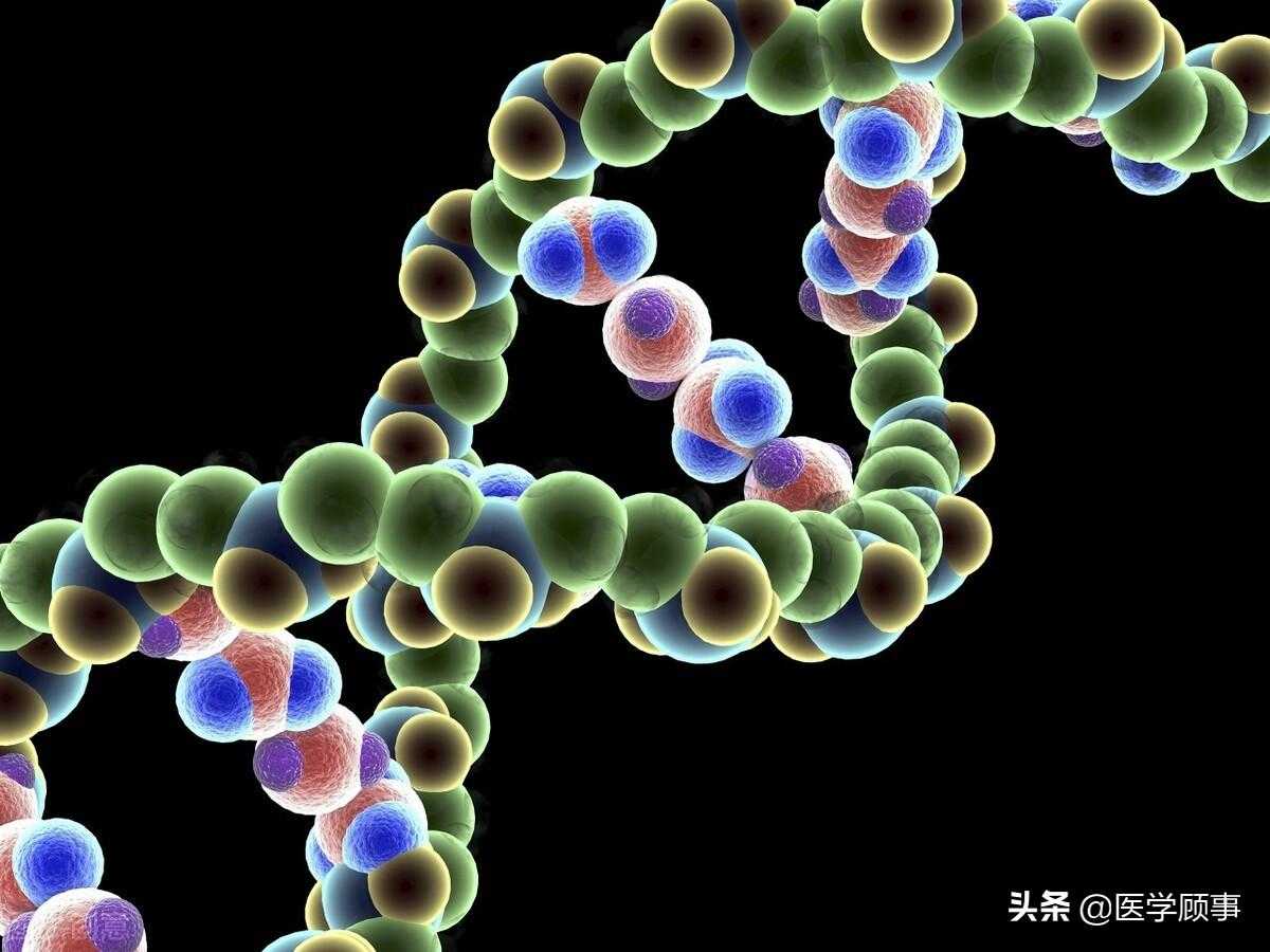 Science发表人类疾病“基因-蛋白-表型三联体”解析疾病致病机制