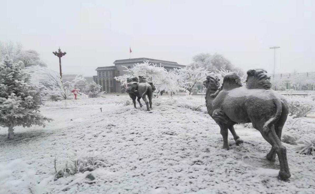 新 疆 的 雪